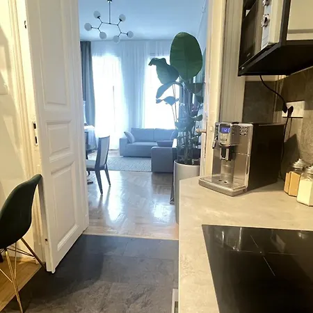 Aviator In The Center Budapeşte